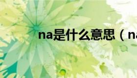 na是什么意思（na是什么意思）