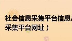 社会信息采集平台信息从哪里录入（社会信息采集平台网址）