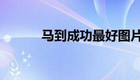 马到成功最好图片（马到成功）