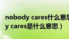 nobody cares什么意思（女生给你发nobody cares是什么意思）