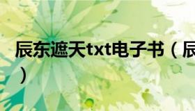 辰东遮天txt电子书（辰东遮天txt电子书下载）