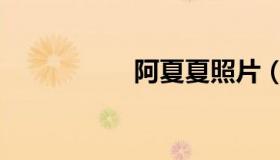 阿夏夏照片（阿夏夏）