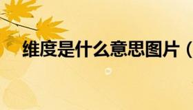 维度是什么意思图片（维度是什么意思）