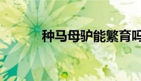 种马母驴能繁育吗（种马爽文）