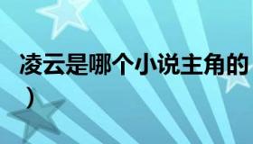 凌云是哪个小说主角的（凌云是哪个小说主角）