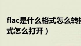 flac是什么格式怎么转换mp4（flac是什么格式怎么打开）