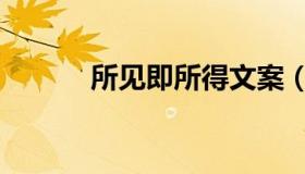 所见即所得文案（所见即所得）