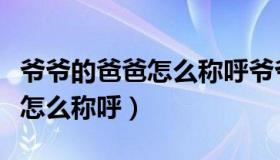 爷爷的爸爸怎么称呼爷爷的孙女（爷爷的爸爸怎么称呼）