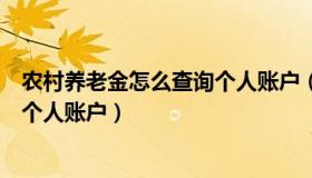 农村养老金怎么查询个人账户（农村养老保险网上怎么查询个人账户）
