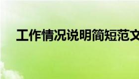 工作情况说明简短范文（工作情况说明）