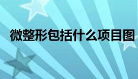 微整形包括什么项目图（微整形包括哪些）