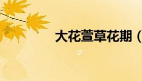 大花萱草花期（大花萱草）