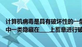 计算机病毒是具有破坏性的一条（计算机病毒是计算机系统中一类隐藏在____上蓄意进行破坏的程序）