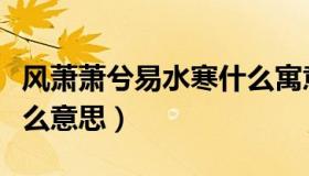 风萧萧兮易水寒什么寓意（风萧萧兮易水寒什么意思）