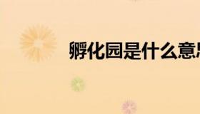 孵化园是什么意思（孵化园）