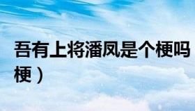 吾有上将潘凤是个梗吗（吾有上将潘凤是什么梗）