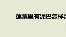 莲藕里有泥巴怎样清洗（lol赛季）