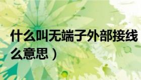 什么叫无端子外部接线（无端子外部接线是什么意思）