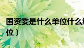 国资委是什么单位什么级别（国资委是什么单位）