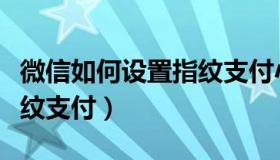微信如何设置指纹支付小米（微信如何设置指纹支付）