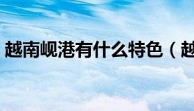 越南岘港有什么特色（越南岘港有什么特产）