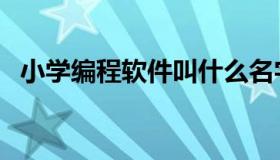 小学编程软件叫什么名字（小学编程软件）