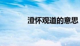 澄怀观道的意思（澄怀观道）