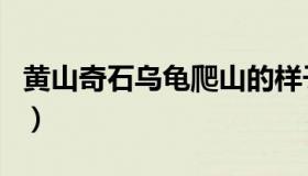 黄山奇石乌龟爬山的样子（黄山奇石乌龟爬山）