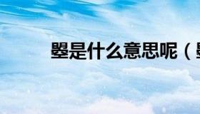 曌是什么意思呢（曌是什么意思）