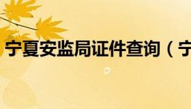 宁夏安监局证件查询（宁夏安监局证件查询）