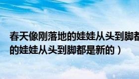 春天像刚落地的娃娃从头到脚都是新的赏析（春天像刚落地的娃娃从头到脚都是新的）