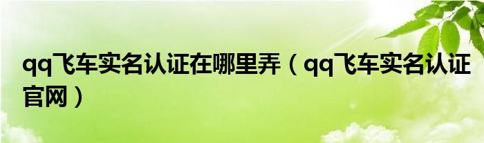 qq飞车实名认证在哪里弄（qq飞车实名认证官网）