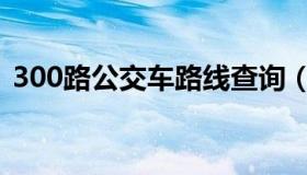 300路公交车路线查询（300路公交车路线）