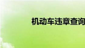 机动车违章查询官网12123