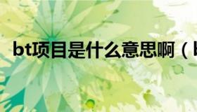 bt项目是什么意思啊（bt项目是什么意思）