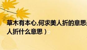 草木有本心,何求美人折的意思是什么?（草木有本心何求美人折什么意思）