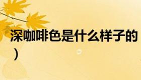 深咖啡色是什么样子的（深咖啡色是什么颜色）