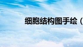 细胞结构图手绘（细胞结构图）