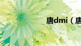 唐dmi（唐哲修）