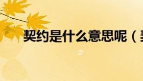 契约是什么意思呢（契约是什么意思）