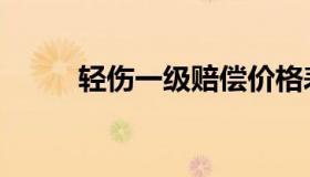 轻伤一级赔偿价格表（轻伤一级）