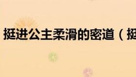 挺进公主柔滑的密道（挺进公主柔滑的密道）