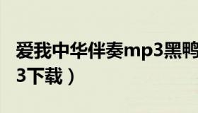 爱我中华伴奏mp3黑鸭子（爱我中华伴奏mp3下载）