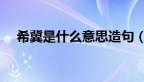 希冀是什么意思造句（希冀是什么意思）