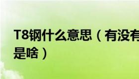 T8钢什么意思（有没有大牛知道什么是T8钢是啥）