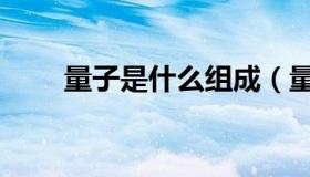 量子是什么组成（量子是什么概念）