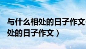 与什么相处的日子作文600字以上（与什么相处的日子作文）