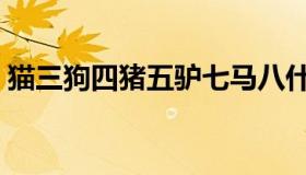 猫三狗四猪五驴七马八什么意思（猫三狗四）