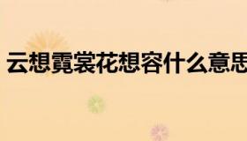 云想霓裳花想容什么意思（云想霓裳花想容）