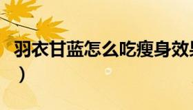 羽衣甘蓝怎么吃瘦身效果好（羽衣甘蓝怎么吃）